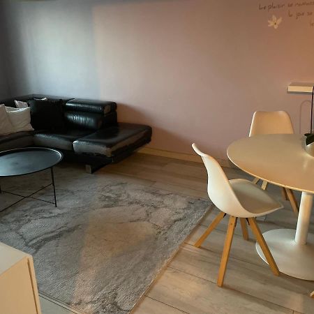 Superbe Appartement Avec Place De Parking Gratuit Στρασβούργο Εξωτερικό φωτογραφία