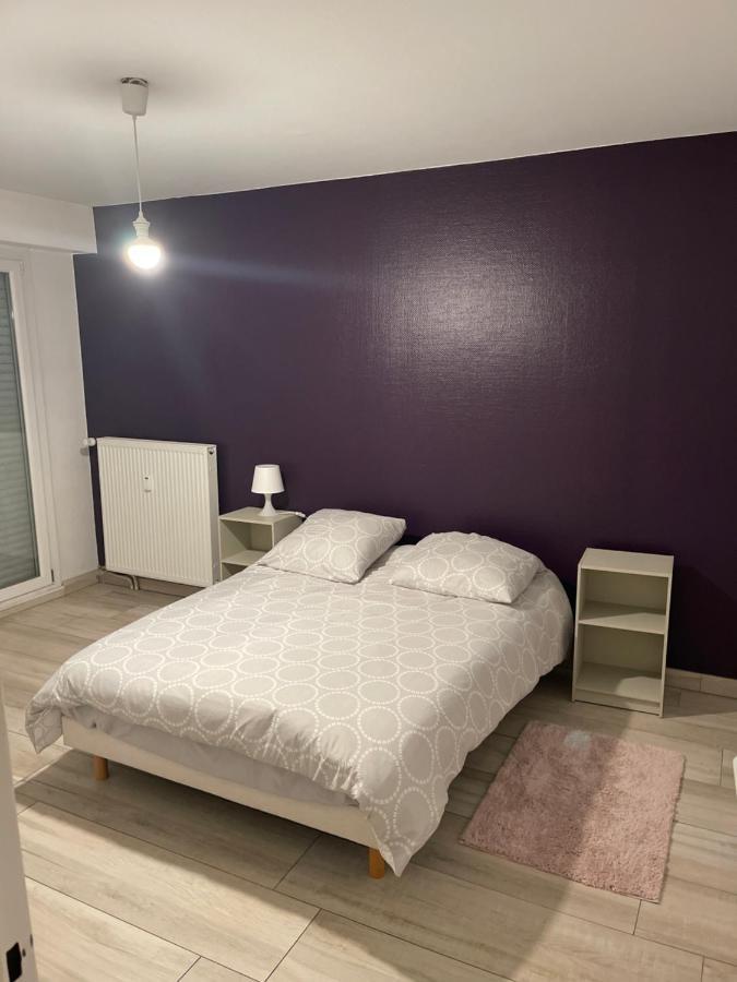 Superbe Appartement Avec Place De Parking Gratuit Στρασβούργο Εξωτερικό φωτογραφία