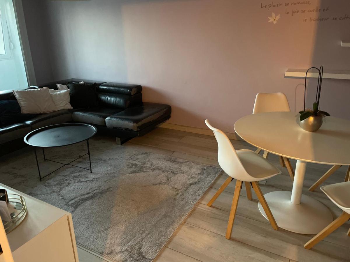 Superbe Appartement Avec Place De Parking Gratuit Στρασβούργο Εξωτερικό φωτογραφία
